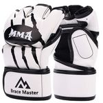 gant mma brace-master