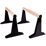 parallettes pullup & dip