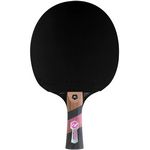 raquette ping pong cornilleau excel 3000 carbon