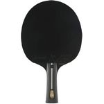 raquette ping pong stiga pro carbon +