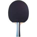 raquette ping pong tihbar powercarbon xt